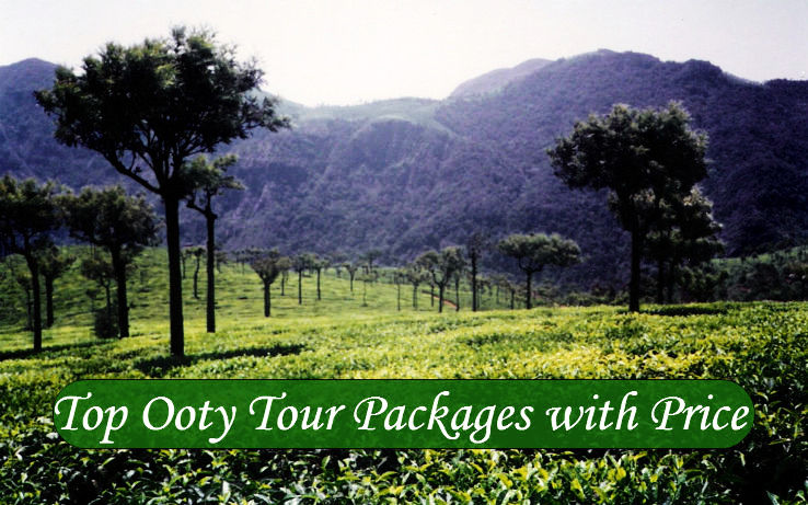 ooty minibuses tour packages